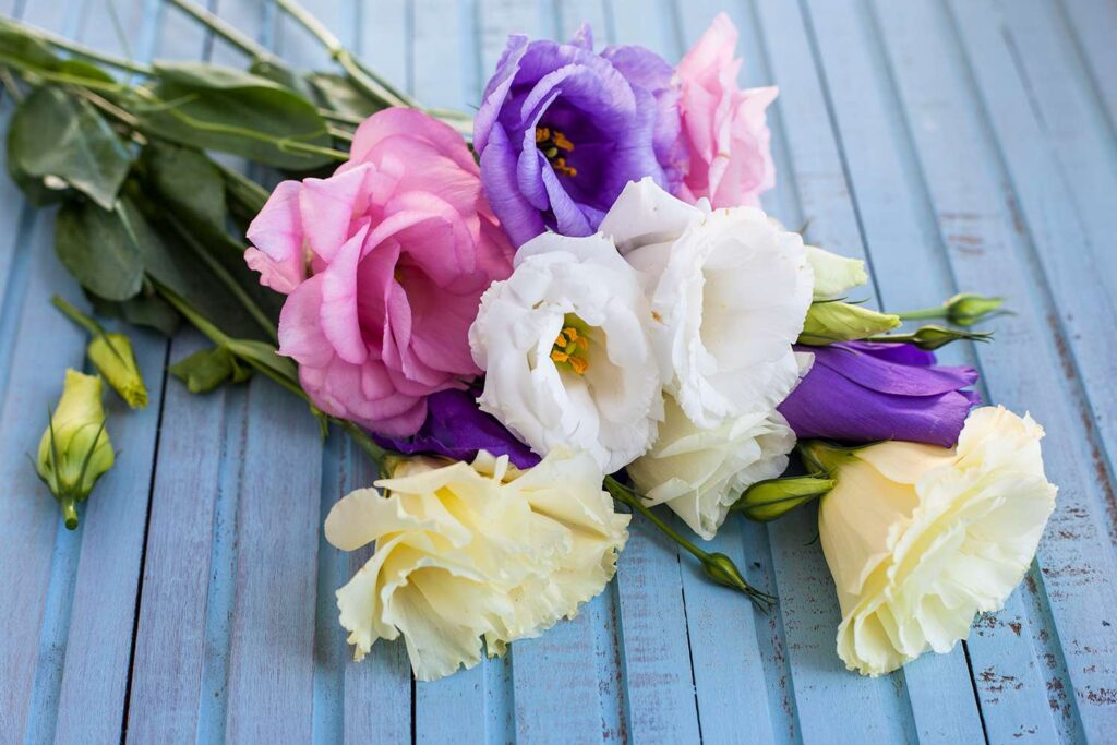 A Comprehensive Guide to Choosing Anniversary Flowers