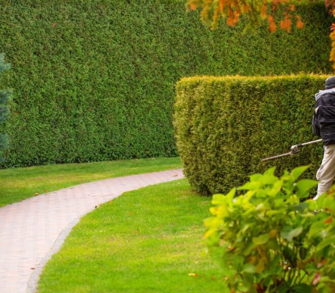 How Much Does Hedge Trimming Cost? Budgeting for Your Garden’s Needs
