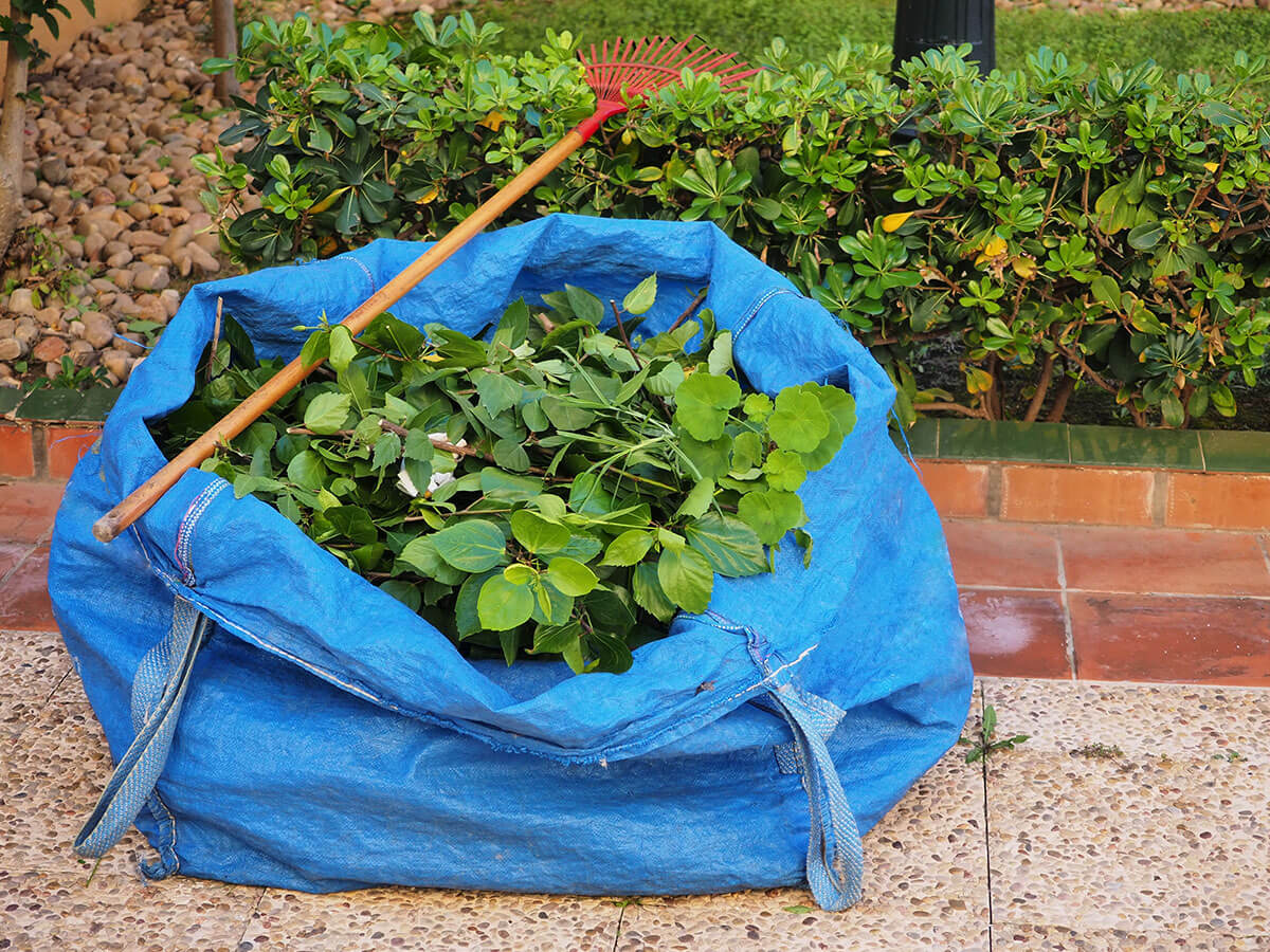 How to Choose a Green Waste Removal Company: Tips and Advice