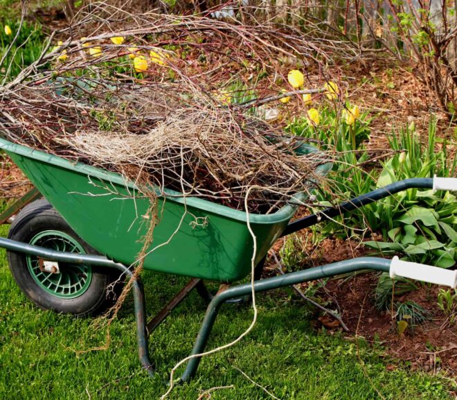 The Importance of Professional Green Waste Removal for Sydney Gardens