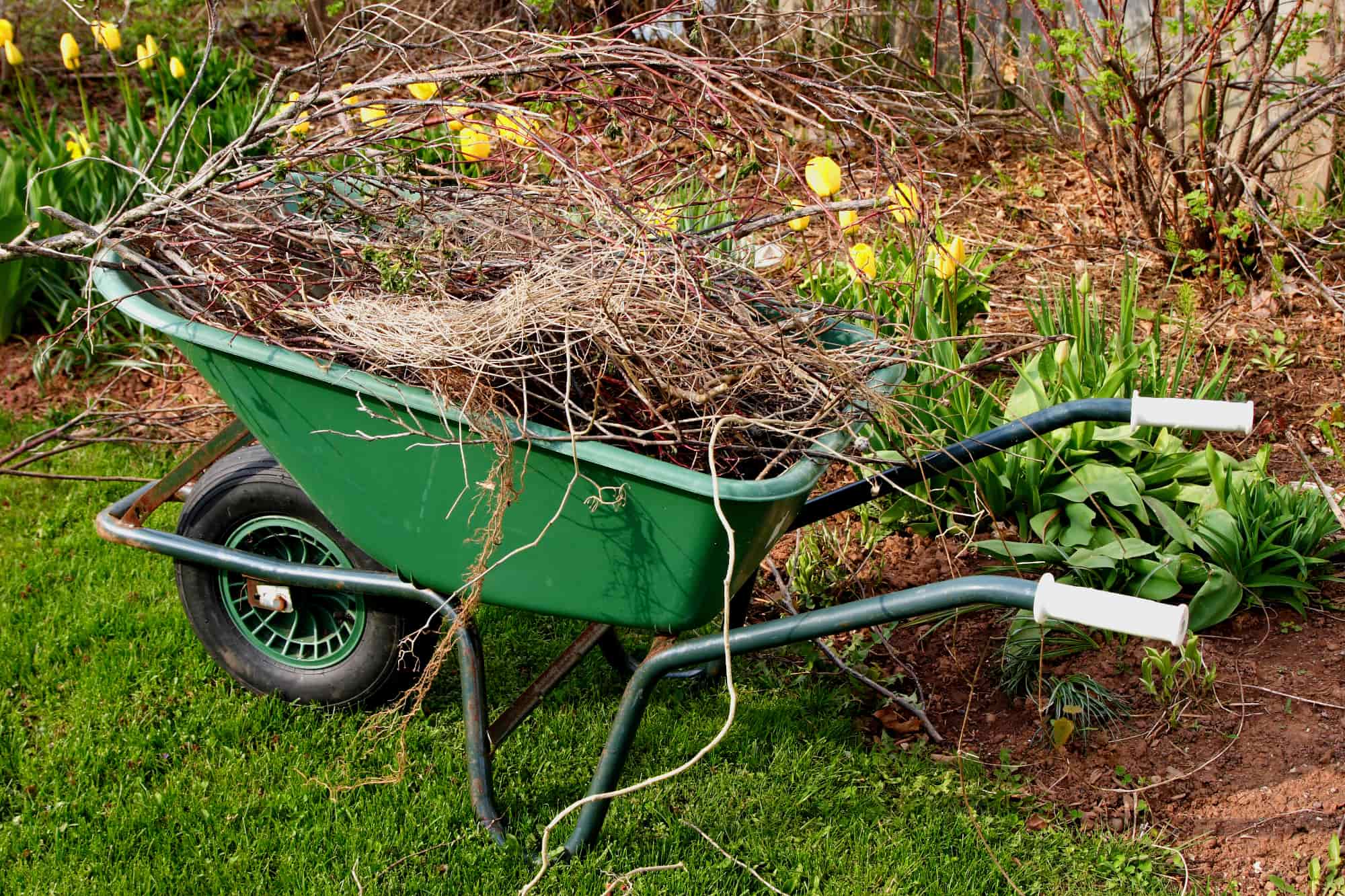Professional Green Waste Removal