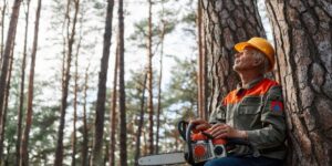 Arborist Sydney Inner West: Local Tree Care Experts