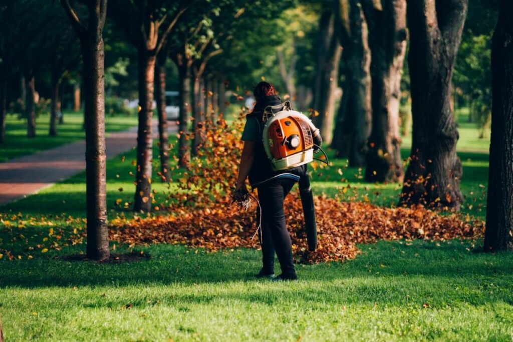 arborist sydney inner west