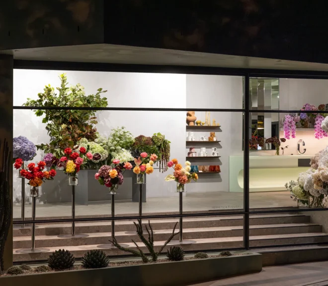 Florist Mosman: Fresh Flowers for the Lower North Shore