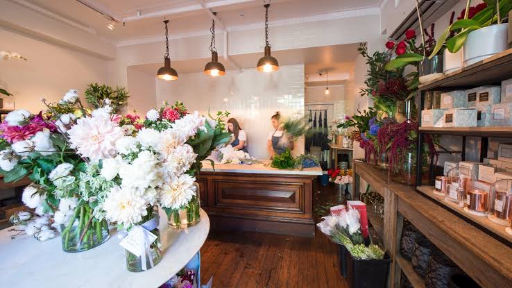Florist North Sydney: Fresh Flowers for the CBD's Northern

